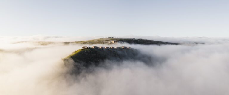 Hiddn Mantis, South Africa
