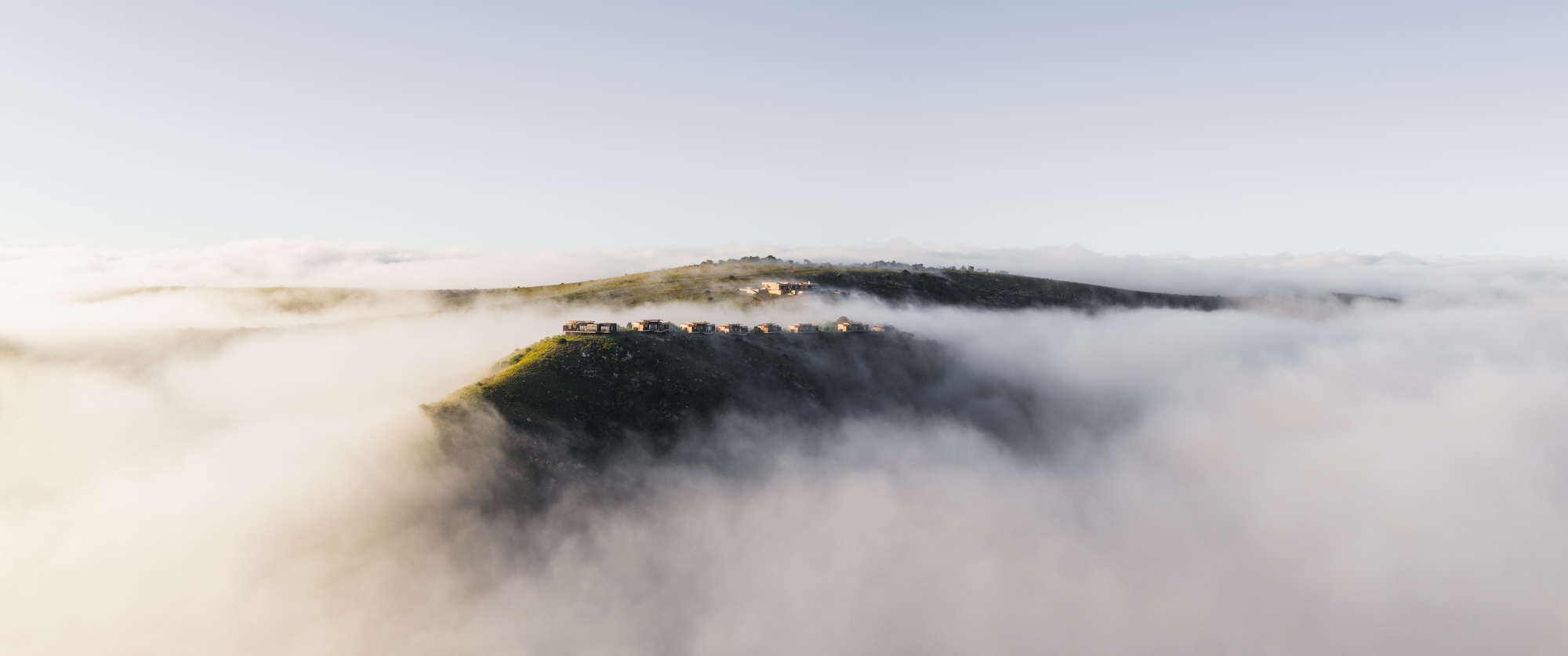 Hiddn Mantis, South Africa