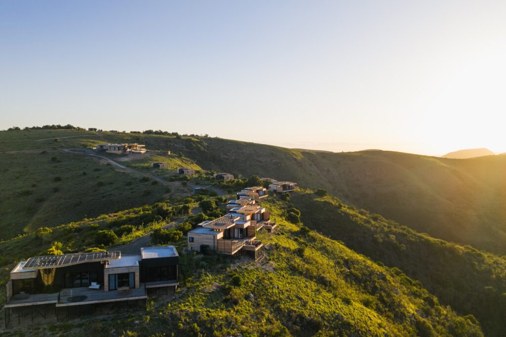 Mantis Hiddn, South Africa