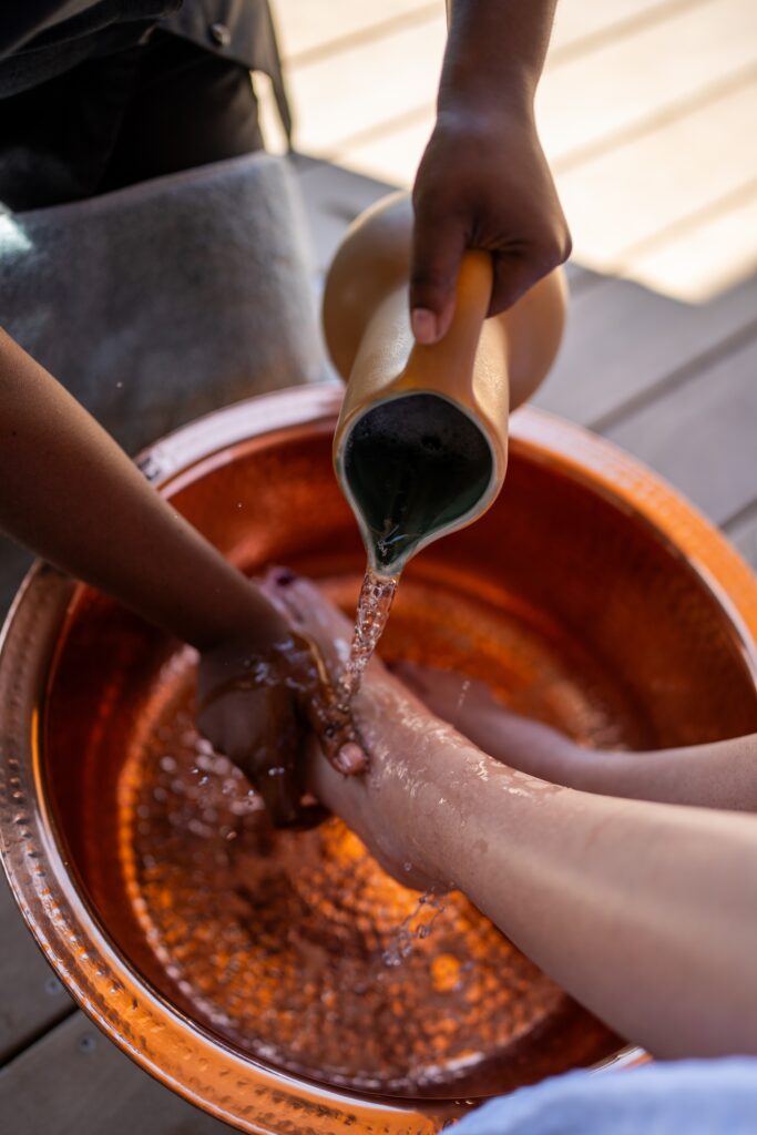 Mantis Hiddn, South Africa