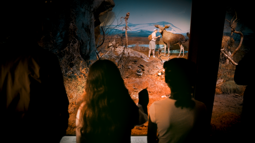 Swedish city of Uppsala bets on 'IQ tourism'