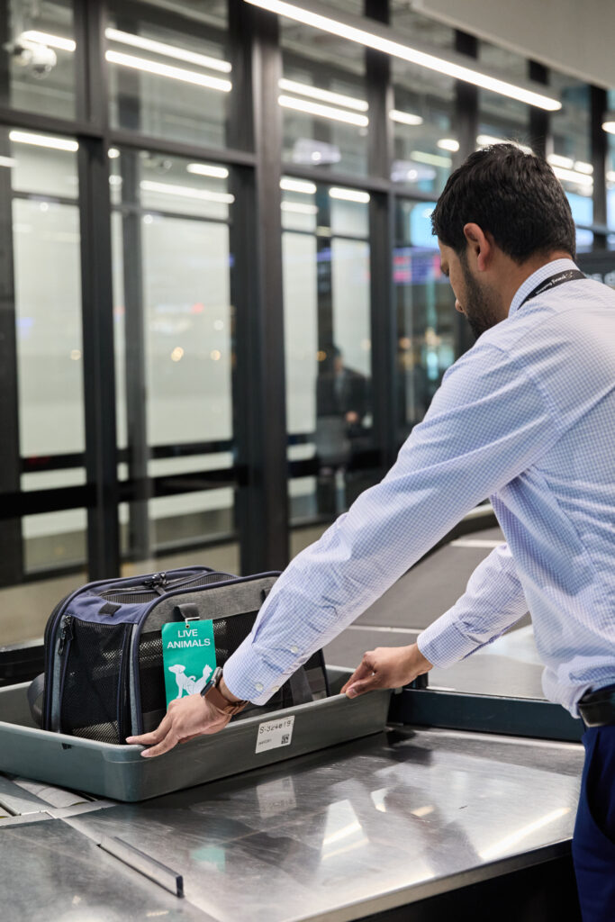 Virgin Australia pets in cabin