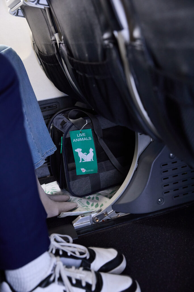 Virgin Australia pets in cabin