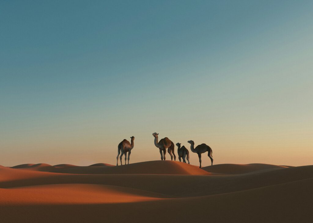 Executive Travel Pulse survey