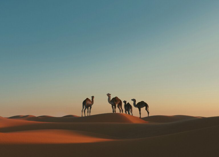 Executive Travel Pulse survey