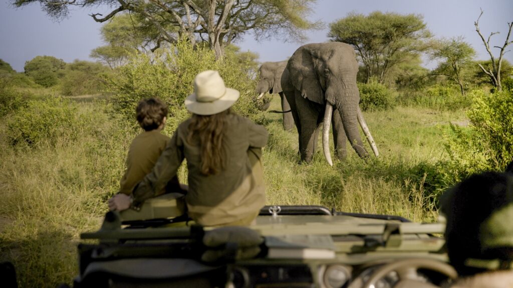 Auberge Collection launches Auberge Safari