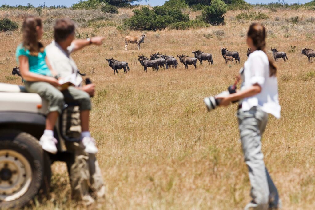 US travellers drive growth in African safari bookings