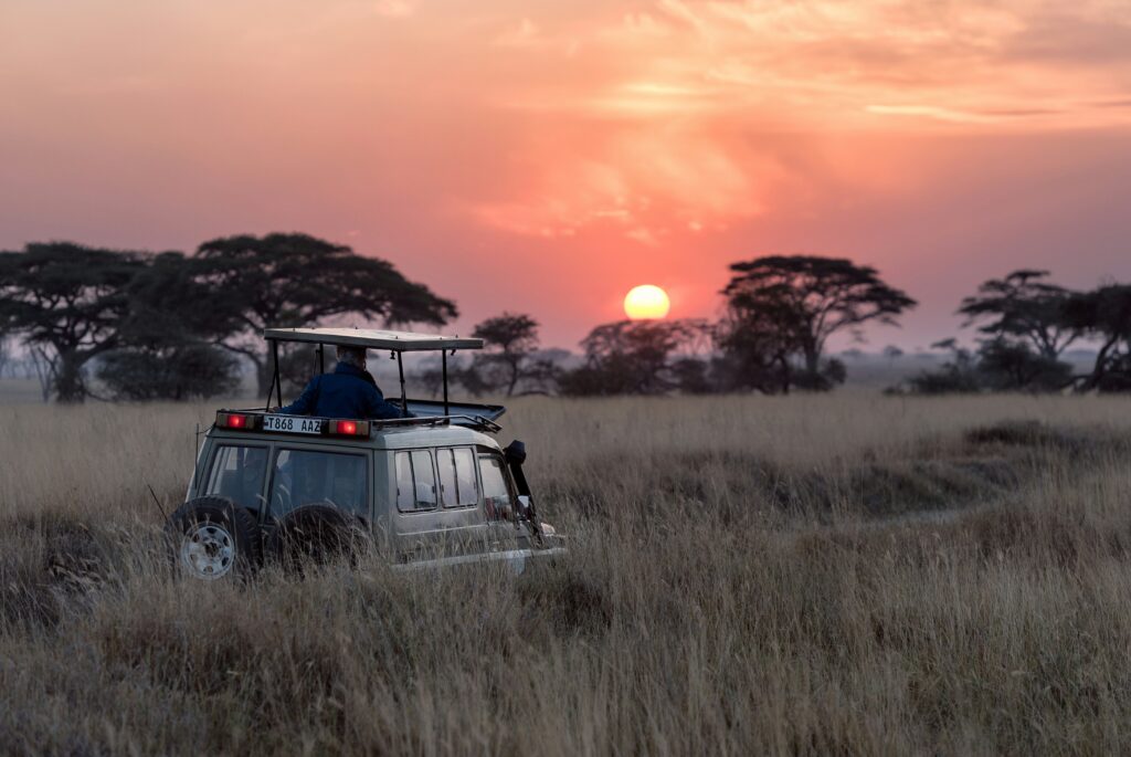 US travellers drive growth in African safari bookings