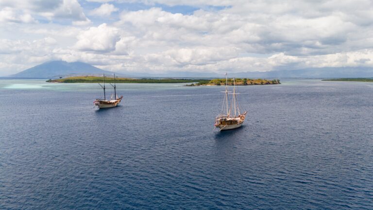 Silolona Sojourns and Cookson Adventures shark trip
