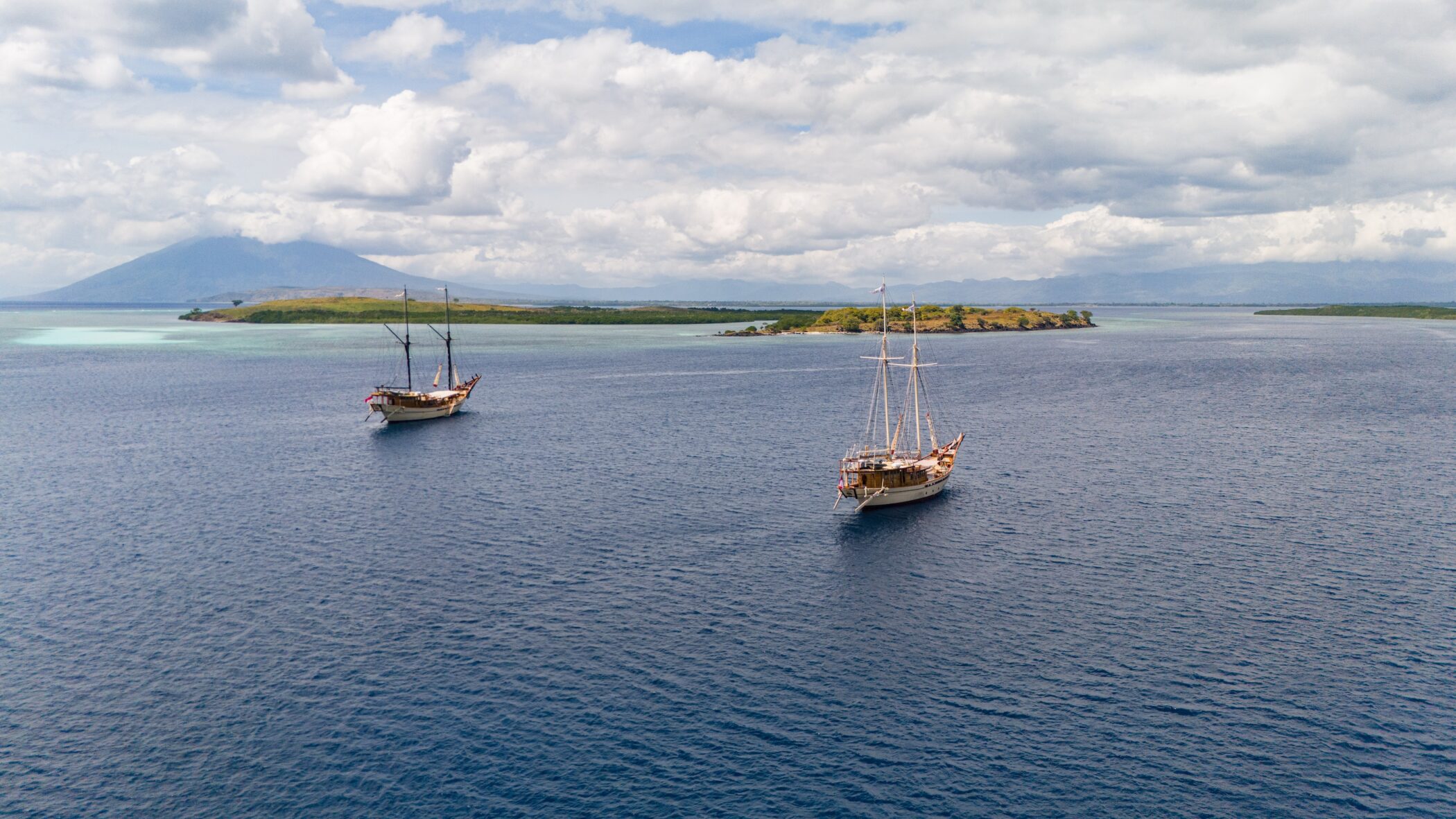 Silolona Sojourns and Cookson Adventures shark trip