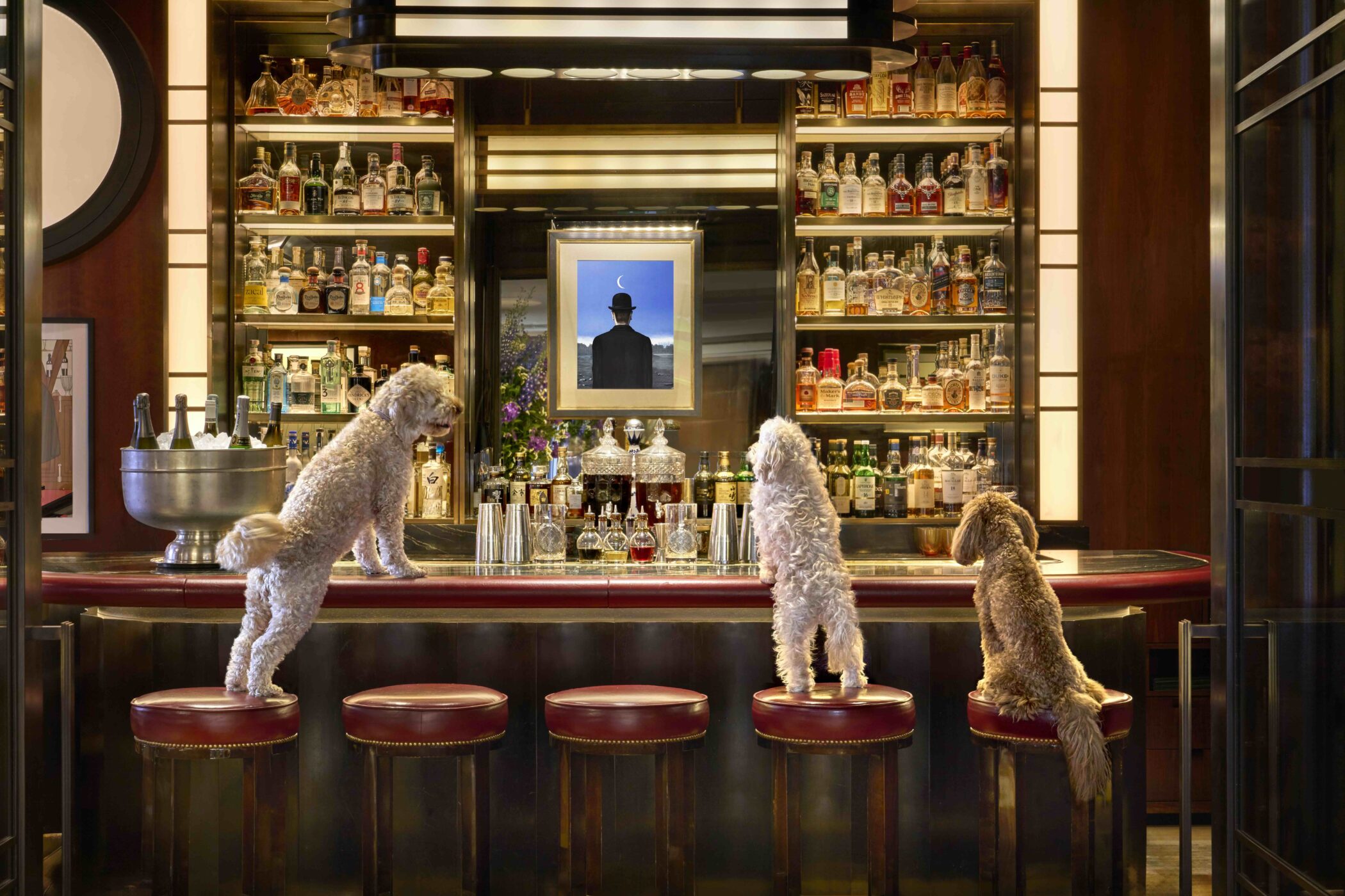 The Beaumont Mayfair, Simon Brown Photography