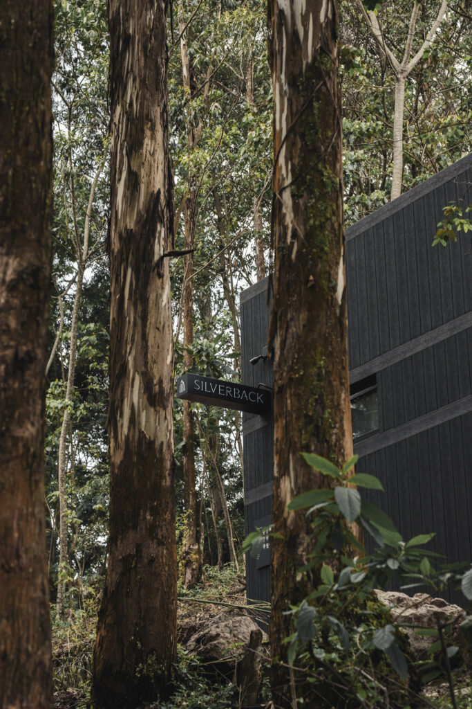 Silverback Lodge