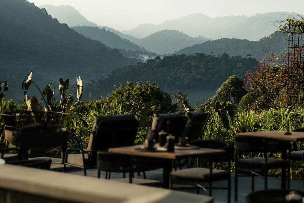 Silverback Lodge