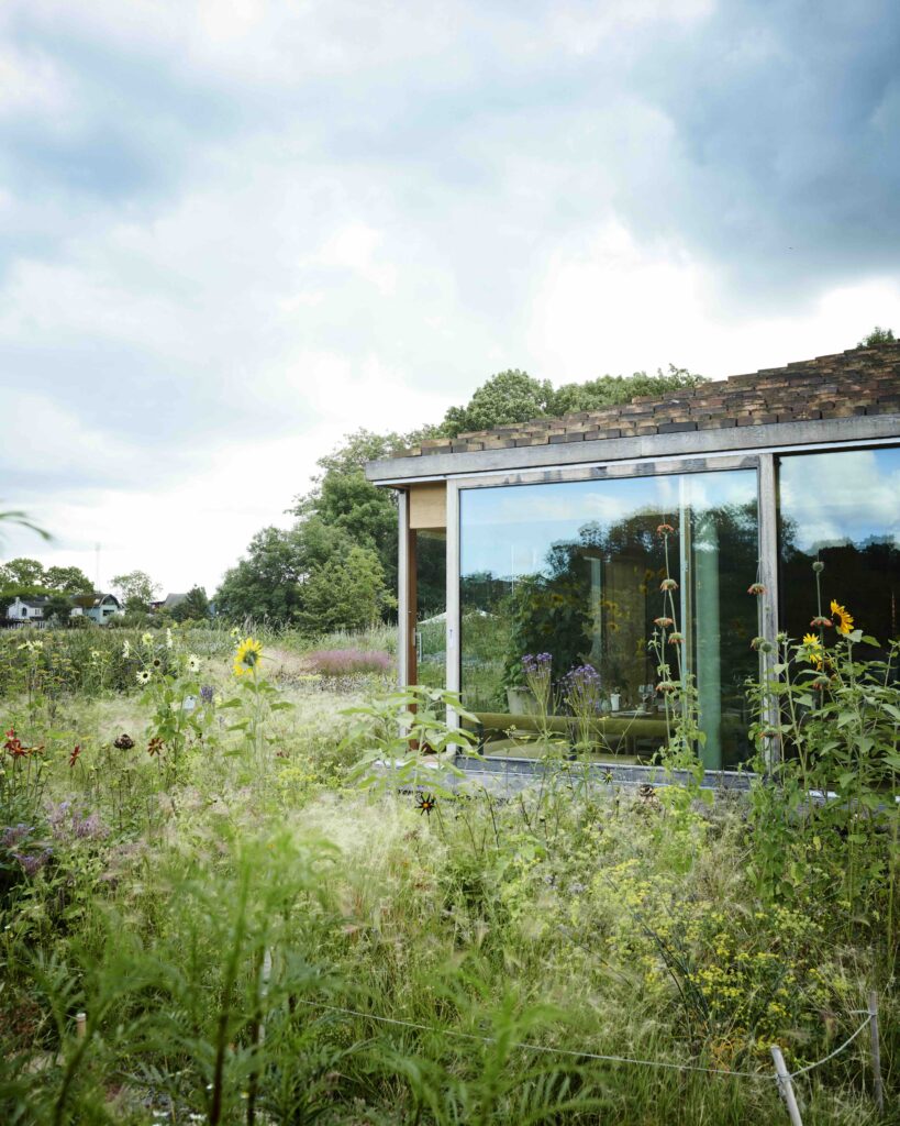 Noma Copenhagen