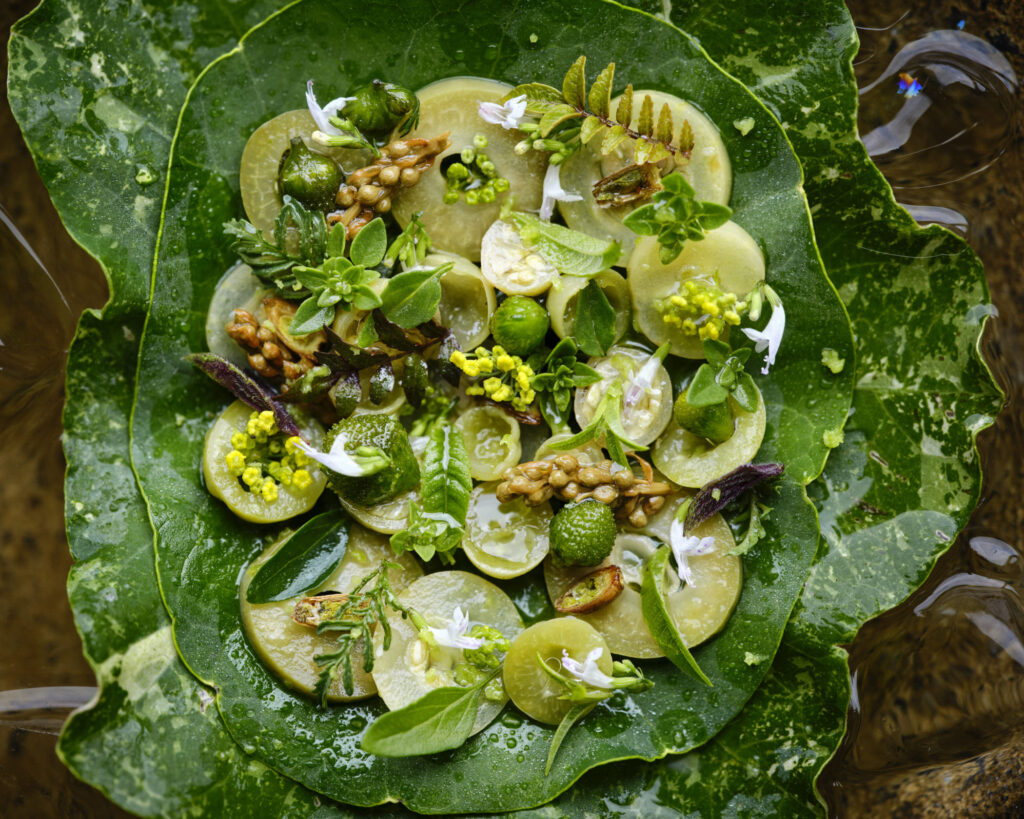 Noma Copenhagen