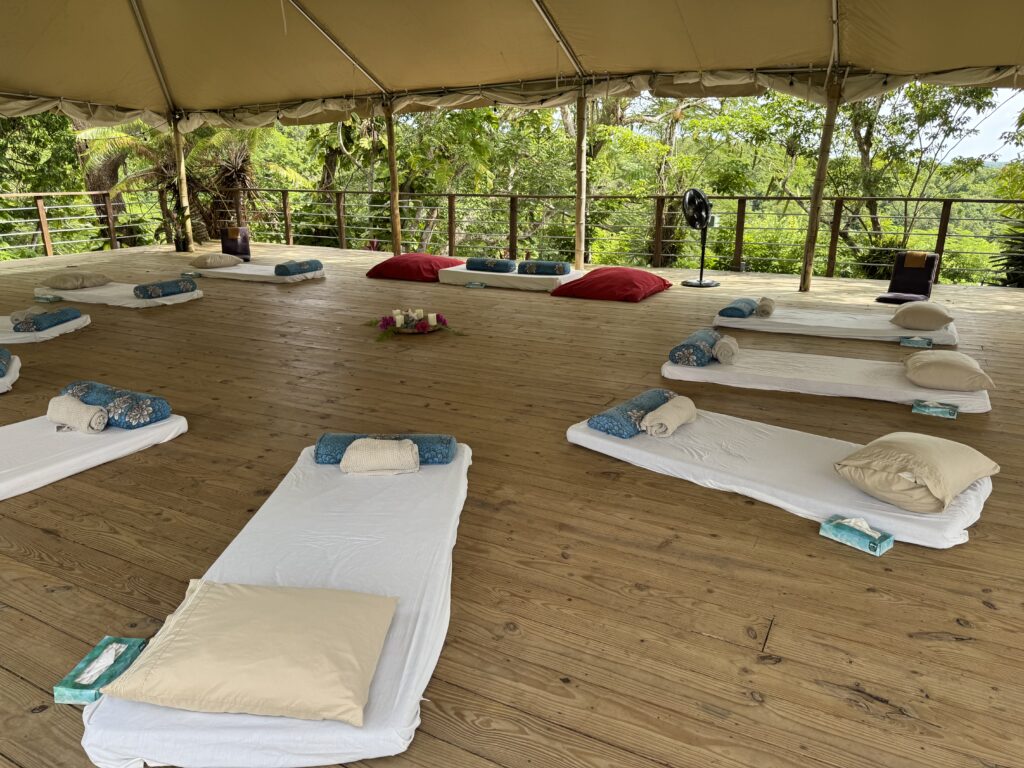 Beckley Retreats © Jenny Southan 